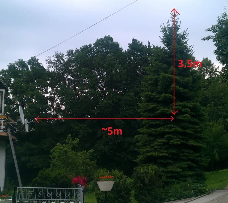 Jak wzmocnić sygnał anteny satelitarnej Cyfrowy Polsat i uniknąć problemów